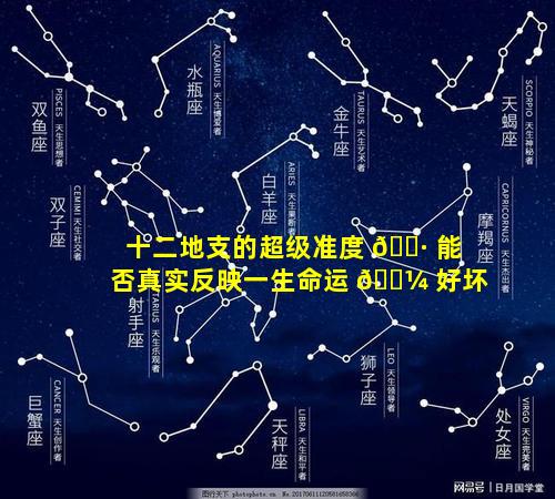 十二地支的超级准度 🌷 能否真实反映一生命运 🌼 好坏